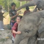 치앙마이 코끼리 투어!! 꼭 물어보야할 사항!!: 아이와 함께하는 치앙마이 여행