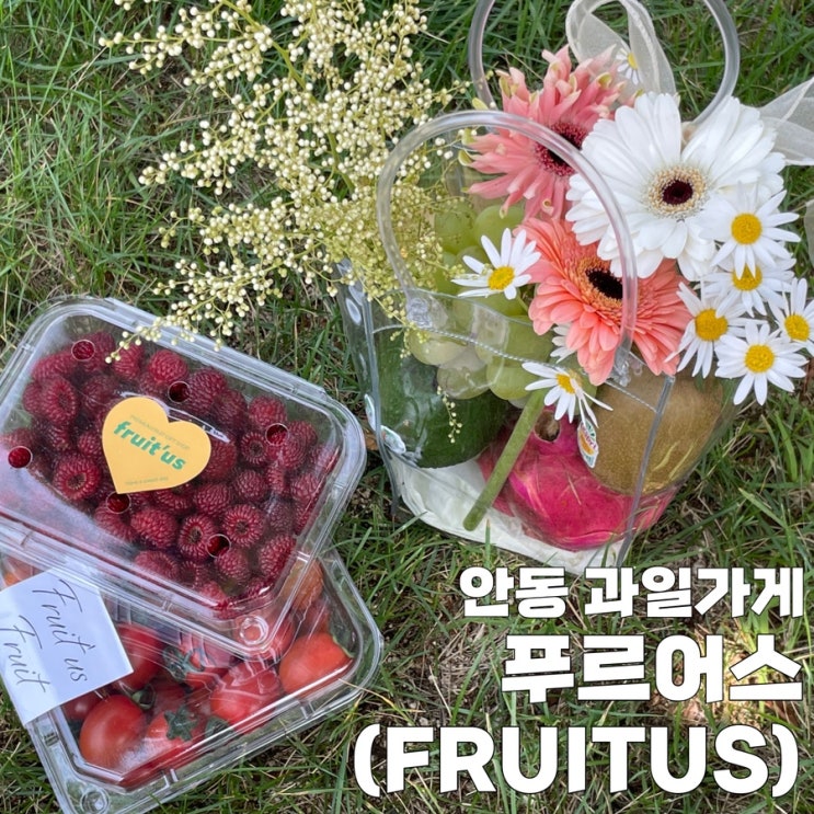 안동 과일가게 푸르어스(FRUITUS) :: 선물하기 좋은 과일칠링백 : 네이버 블로그