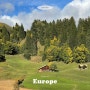 #EUROPE : Switzerland 2