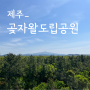 [제주]곶자왈도립공원 플로깅 돌고래스팟