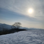 230217 _ 3박 4인 강원도 가족여행 마지막 이야기 (아바이회국수,봉브레드,국립산악박물관,대관령양떼목장)