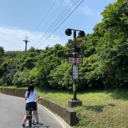 대만여행 4박5일 Day.3 - 타이베이 근교 푸롱(Fulong) 자전거 라이딩 🚲