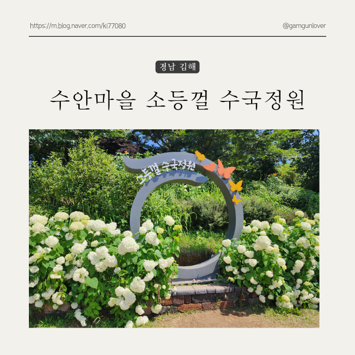 경남 김해 수안마을 소등껄 수국정원 (feat.보현사, 주차정보)