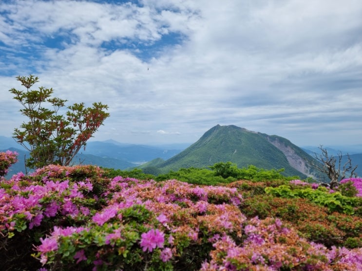 벳푸] 벳푸 로프웨이 (Beppu ropeway) ~ 벳푸 볼거리 : 네이버 블로그