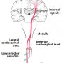 [해부생리] 도움되는 블로그, 웹사이트, 유튜브