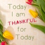 당신의 오늘은 안녕하십니까? 감사로 살고 계십니까?