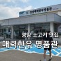 전라남도 영암 소고기 맛집) 영암 매력한우 명품관