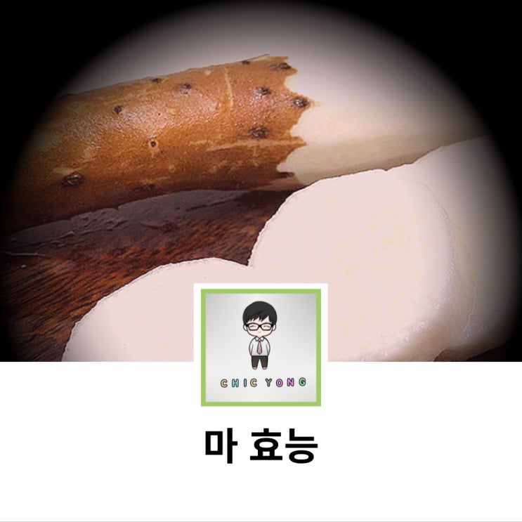 마 영양분 효능 마 먹는법 부작용 : 네이버 블로그