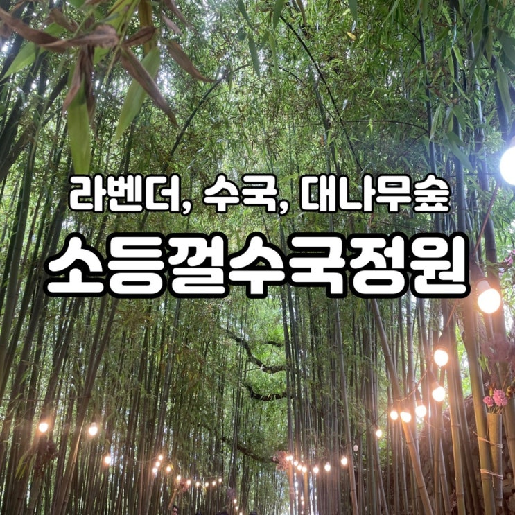 김해 대동 수안마을 소등껄수국정원 대나무숲