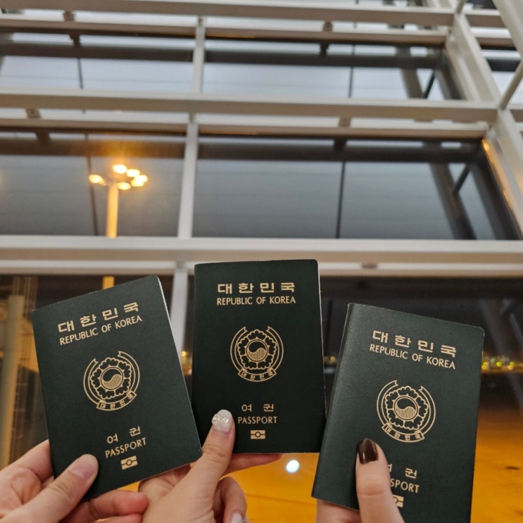 2023년 6월 인천-시드니 티웨이항공(TW502) 리뷰 : 네이버 블로그