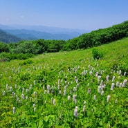 23.6 곰배령 귀둔리 코스 (설악산 국립공원 점봉산분소) : 한적하게 걷기 좋은 숲길