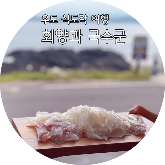 제주도 여행: 우도 맛집 회양과 국수군 한치 물회 한치회국수 지금 우도를 가야하는 이유! 한치가 제철! : 네이버 블로그