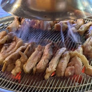 안양닭갈비 / 숯불이라 더욱 맛있었던 평촌닭갈비 계돈