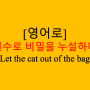 [영어로] 실수로 비밀을 누설하다 Let the cat out of the bag