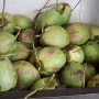 [말레이시아 여행기2탄] 코코넛의 모든 디저트 여긴 다~있어 ! 간판이름 또한 더 로얄 코코넛