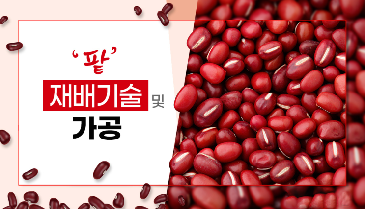 '팥' 재배기술 및 가공 : 네이버 블로그