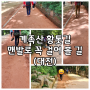 계족산 황톳길 맨발로 꼭 걸어 볼 길(대전)