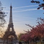 파리 숙소 추천, 플로르 한인민박, PARIS Eiffel 1889 에펠뷰 숙소 4월 후기