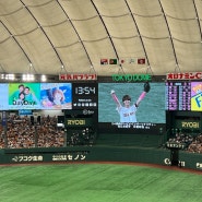 도쿄 2일차 : 도쿄돔 NPB 야구 직관 (요미우리 자이언츠) 나 닛뽄 아이돌 봤다ㅋ!