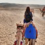 이집트 카이로 여행 세계7대불가사의 피라미드와 낙타가 있는 기자지구 투어