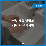 인형 세탁 방법과 세탁 시 주의사항