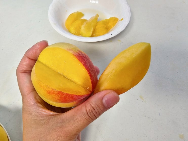 경북 하우스 백도 복숭아 말랑이복숭아 부드러워서 더 맛있어 : 네이버 블로그