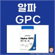 알파 GPC 효능, 효과, 부작용, 복용방법, 섭취량, ALPHA-GPC, 근파워향상
