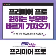 프리미어 프로 소스 패널 편집 : 인 점, 아웃점 잡아 빠르게 편집하기