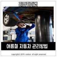 여름철 자동차 관리 가이드 - 안전하고 깨끗한 여행을 위한 5가지 팁