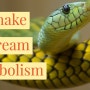 Dream Meaning of Two Snakes: Understanding the Symbolism