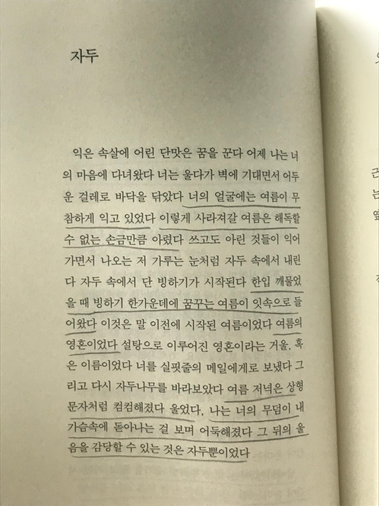 [책] 허수경 : 네이버 블로그