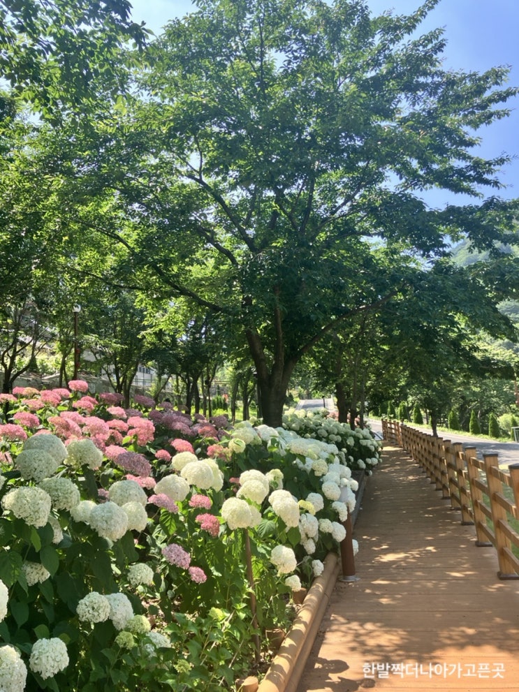 (115)[경남/진주]월아산 숲속의... 자연휴양림•프로그램...