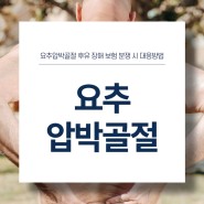 요추압박골절 후유 장해 보험 분쟁 시 대응방법!!