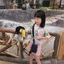 주렁주렁 실내동물원 동탄 아이와 가볼만한곳