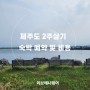 제주도 2주살기 숙소 예약과 비용 feat 리브애니웨어 장기숙박 알아보기