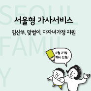 '서울형 가사서비스'임산부,맞벌이,다자녀 가정 무료 지원 시작