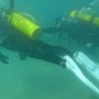 제주 체험다이빙 협재바다에서하는 액티비티 다이브클리프