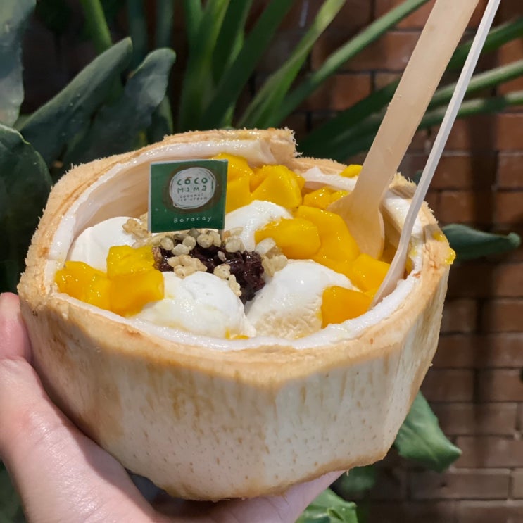 보라카이 코코넛빙수 비교 코코마마 아이스플레이크 + 망이나살 할....