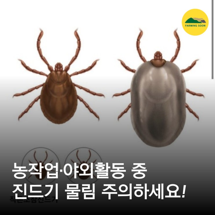 농작업 중 진드기 물림 주의 : 네이버 블로그