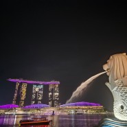 [싱가포르 가족여행] 2일차 - 블랑코 코트 프론미,아랍스트리트,부기스 스트리트,동방미식,차이나타운,머라이언공원,사테거리