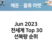 2023년 6월 전 세계 TOP 30 선복량 순위
