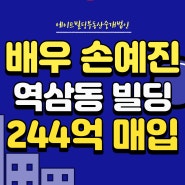 [연예인빌딩] 배우 손예진 역삼동 빌딩 244억 매입