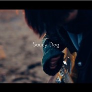 ♬ Saucy dog - いつか (언젠가) 가사/번역/일본노래추천