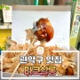 [관악구 맛집] 타코살롱, 통실한 문어가 예술인 관악구 타코야끼 맛집