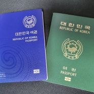간편하게 정부24 온라인으로 여권 재발급 신청 비용 및 소요시간