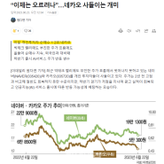 네이버 카카오 떨어지는 이유 /개인투자자 순매수 1.2위