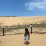 [태안 여행] 한국에서 사막을 볼 수 있는 곳?! 신두리 해안사구 : 태안 아기랑/아이랑 가볼 만한 여행 코스로 추천