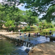 [충남 공주 여행] 세계 문화유산 태화산 "마곡사"