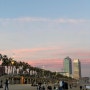 스페인 5박 6일 자유여행 5일차(2)_바르셀로나 해변, 맛집 추천, 여행 일정