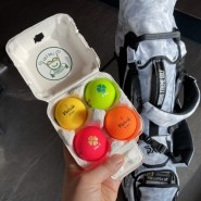 볼빅비비드 컬러볼 골프공 라운딩 선물 준비